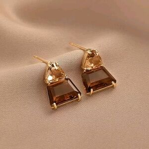 Chic Gold and Brown Geometric Earrings